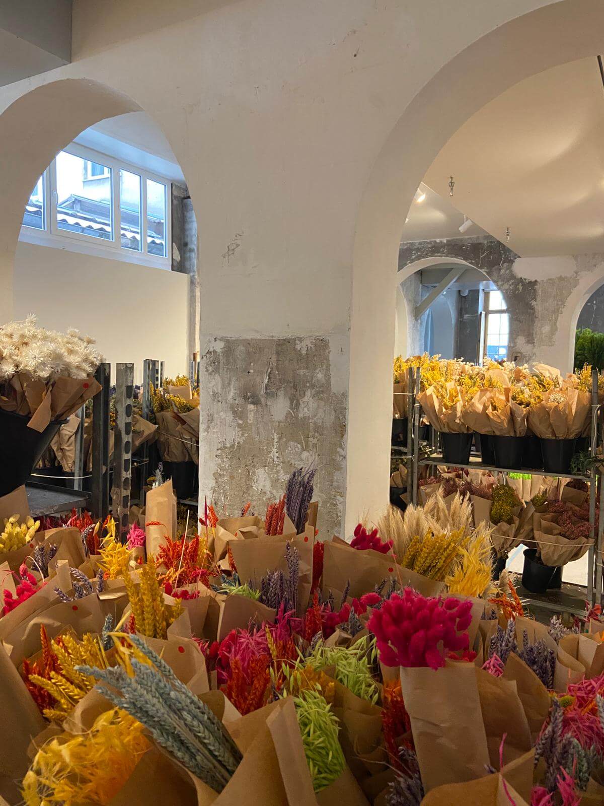 vente de fleurs plantes pour tous à la galerie Au Roi 